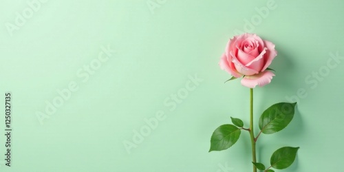 A single pink rose stem with vibrant green leaves rests gracefully against a soft mint green background, offering a delicate and serene visual