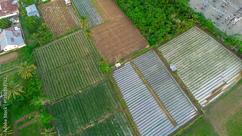 Aerial view of agricultural and vegetable garden in countryside of Indonesia. Aerial view of agricultural and vegetable garden in countryside of Indonesia.