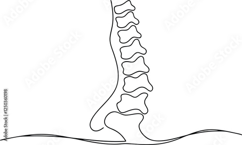 Lumbar Spine Anatomy Vertebrae, Intervertebral Discs, Spinal Curvature, Back Pain Relief
