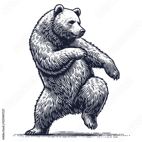 Illustration of a Grizzly Bear