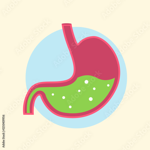 Healthy Human Stomach with Gastric Acid