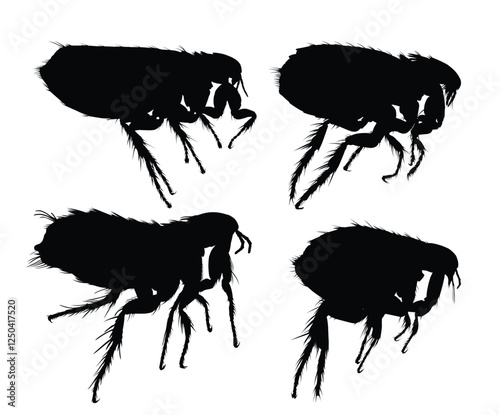 The set silhouettes of a flea.

