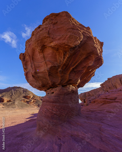 Obraz na płótnie Mushroom rock formation in Timna desert park w salonie