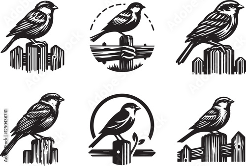 A collection of Sparrow-themed black and white bird illustrations perched on rustic fences with artistic charm.