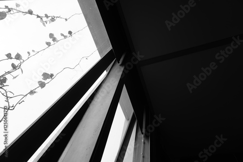 An open box window with vines hanging in front of the window in the afternoon photo