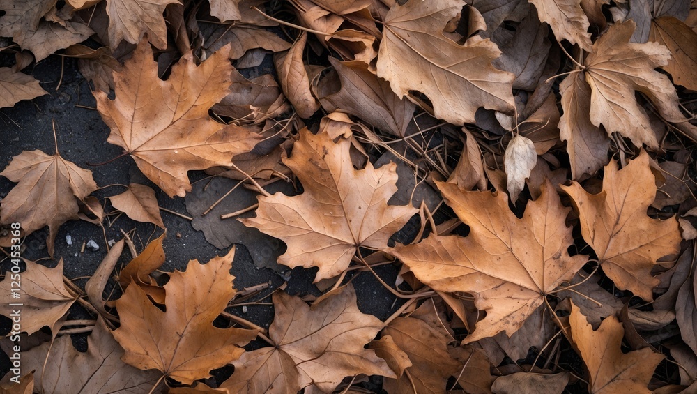 Close-up of dry brown autumn leaves on the ground showcasing fall's natural texture perfect for seasonal or nature-themed projects. Close-up of dry brown autumn leaves on the ground showcasing fall's natural texture perfect for seasonal or nature-themed projects.