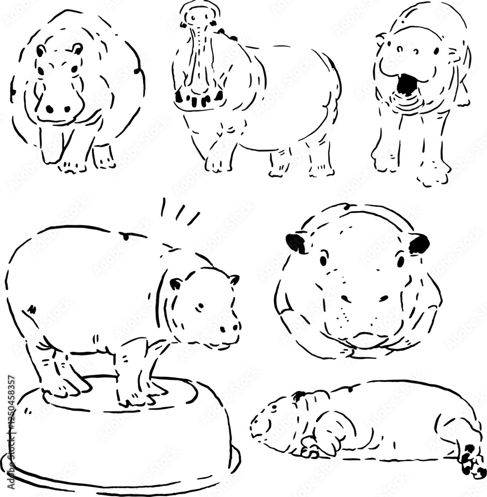 Fototapeta premium Line art of a hippo in many poses.