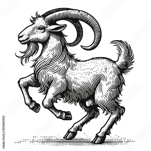 Vintage Illustration of a Goat