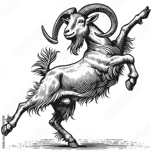 Vintage Illustration of a Goat