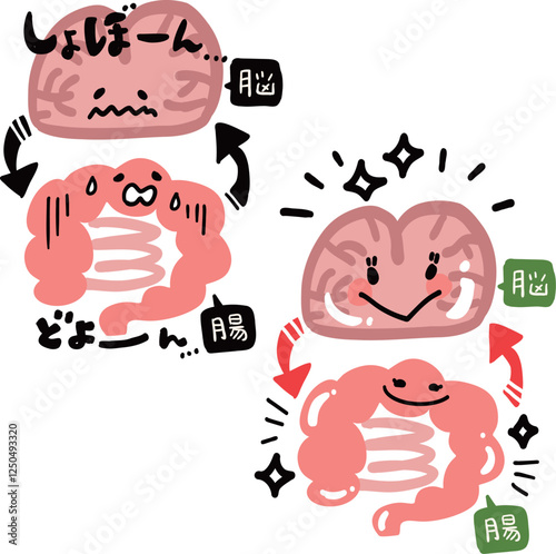 脳と腸の関係