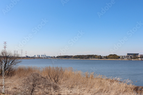 手賀沼（千葉県柏市）