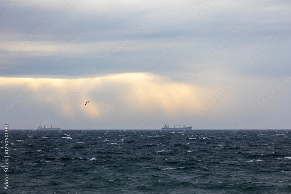 Ship sightings off the coast of Kadikoy in the lodgepole