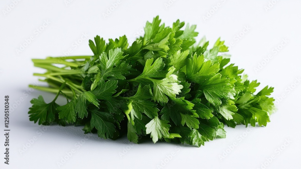 A high-quality image of crisp green parsley, showcasing its fresh texture and vibrant color against a clean white surface. A high-quality image of crisp green parsley, showcasing its fresh texture and vibrant color against a clean white surface.