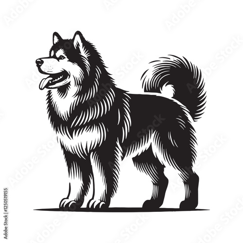 Detailed Alaskan Malamute silhouette highlighting thick coat features - Alaskan Malamute illustration - minimal Alaskan Malamute vector - dog silhouette
