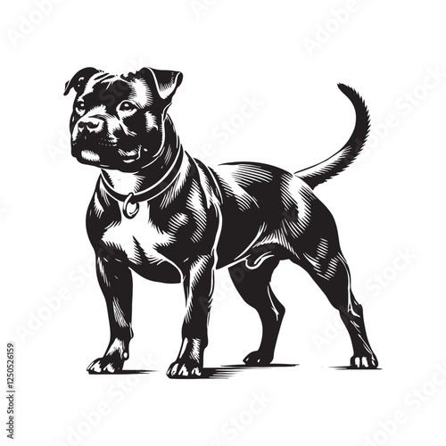 High-quality American Staffordshire Terrier silhouette designed for creatives - American Staffordshire Terrier illustration - minimal American Staffordshire Terrier vector - dog silhouette
