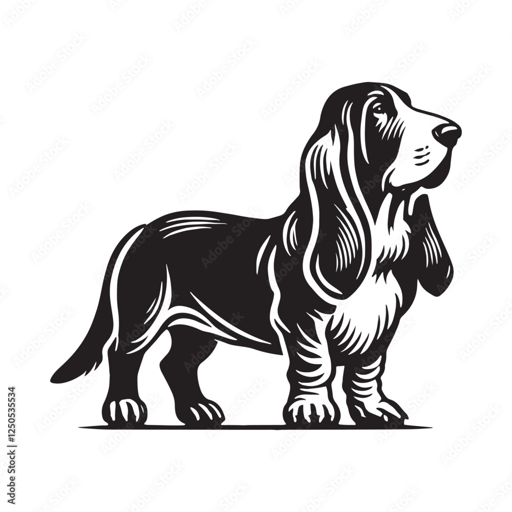 Obraz premium Bold Basset Hound silhouette designed for graphic designers - Basset Hound illustration - minimal Basset Hound vector - dog silhouette 