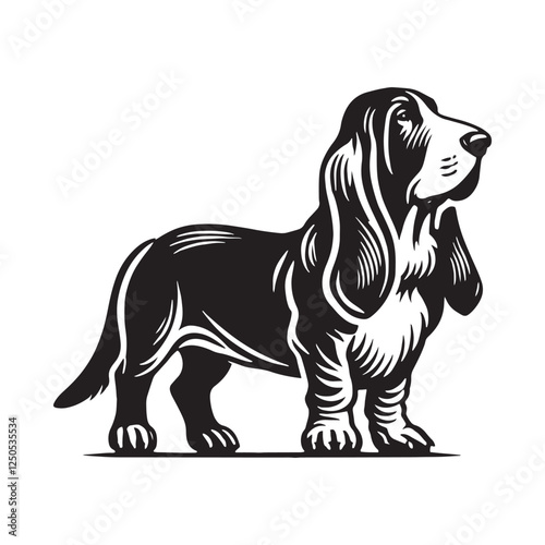 Bold Basset Hound silhouette designed for graphic designers - Basset Hound illustration - minimal Basset Hound vector - dog silhouette
