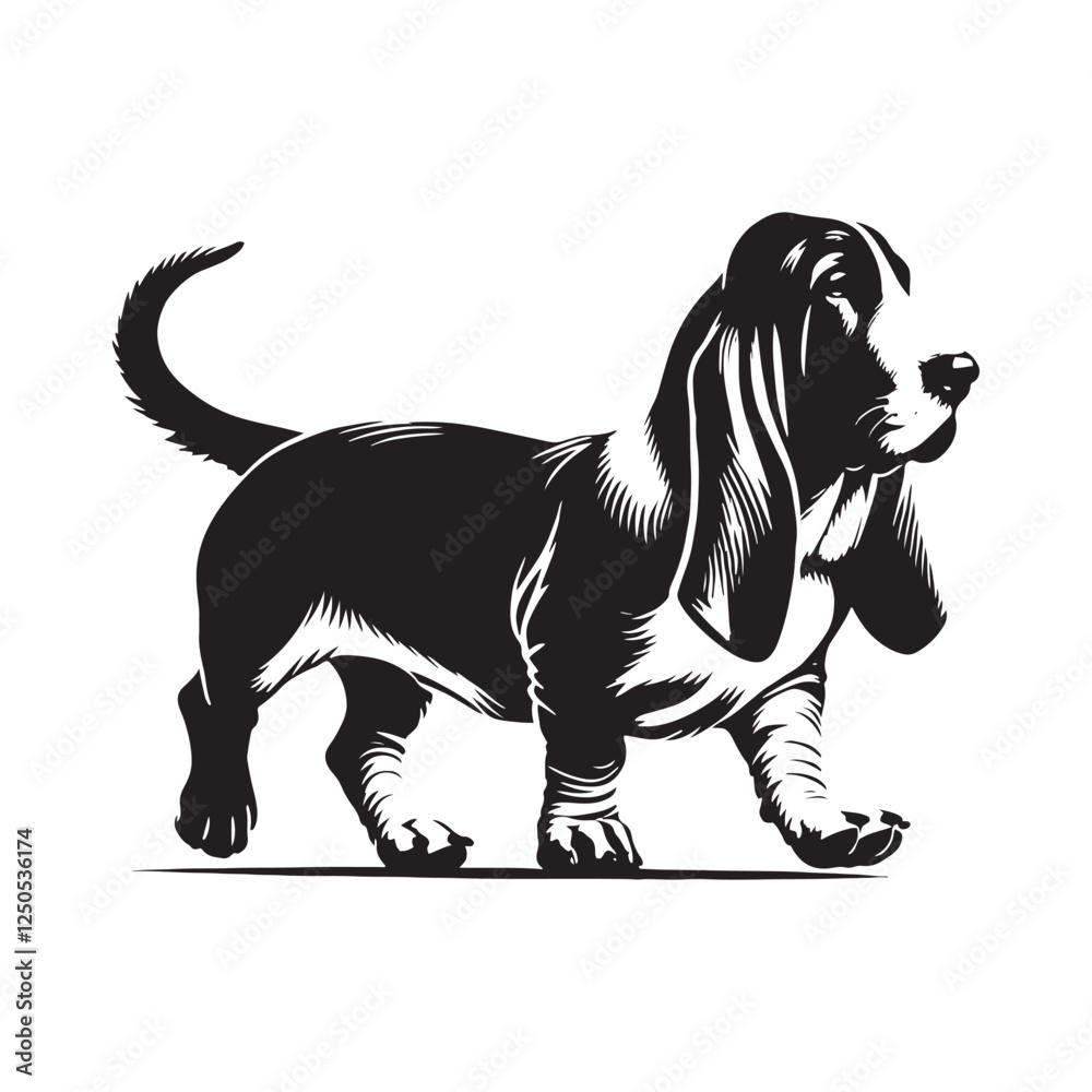 Obraz premium Basset Hound silhouette emphasizing its unique long body - Basset Hound illustration - minimal Basset Hound vector - dog silhouette 