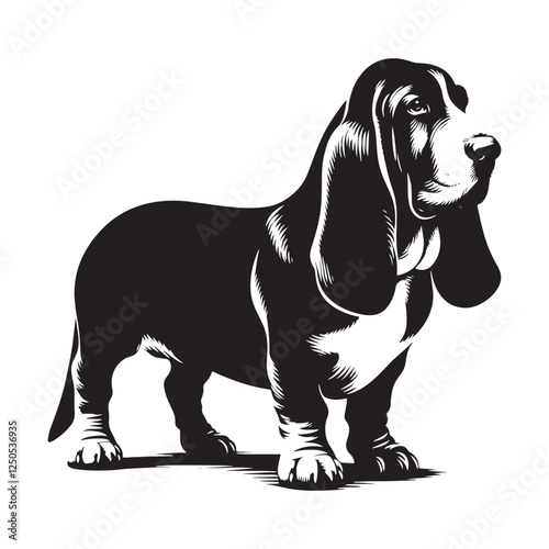 Artistic Basset Hound silhouette for pet lovers and designers - Basset Hound illustration - minimal Basset Hound vector - dog silhouette
