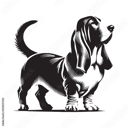 Elegant Basset Hound silhouette highlighting the breed’s charm - Basset Hound illustration - minimal Basset Hound vector - dog silhouette
