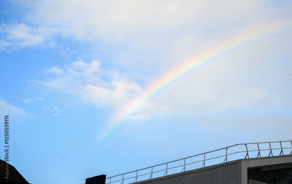 Beautiful rainbow over the buildings after the storm. Auckland.