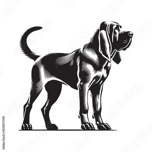 Bloodhound silhouette suitable for logos, decor, and branding - Bloodhound illustration - minimal Bloodhound vector - dog silhouette
