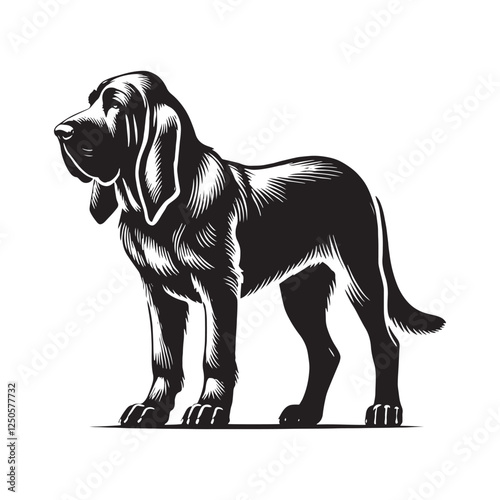 Bloodhound silhouette perfect for branding and custom artwork - Bloodhound illustration - minimal Bloodhound vector - dog silhouette
