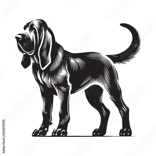 Stylish Bloodhound silhouette with artistic flow and movement - Bloodhound illustration - minimal Bloodhound vector - dog silhouette
