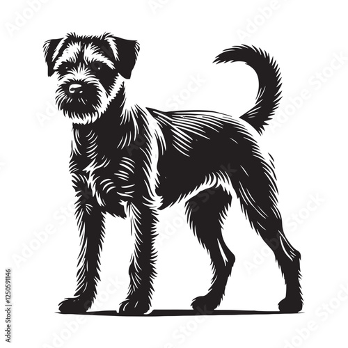 Distinctive Border Terrier silhouette with well-defined edges - Border Terrier illustration - minimal Border Terrier vector - dog silhouette
