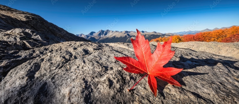 Red maple leaf resting on rocky mountain terrain with a clear blue sky and distant autumn foliage in the background. Red maple leaf resting on rocky mountain terrain with a clear blue sky and distant autumn foliage in the background.