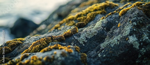 Moss and lichen covered rocky surface perfect for nature backgrounds and outdoor themes in photography and design projects photo