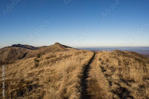 Scenic autumn landscapes from a trekking loop in Bieszczady, featuring views from Tarnica, Halicz, Rozsypaniec, Bukowe Berdo, Połonina Wetlińska, and the Ukrainian Bieszczady under a clear blue sky photo