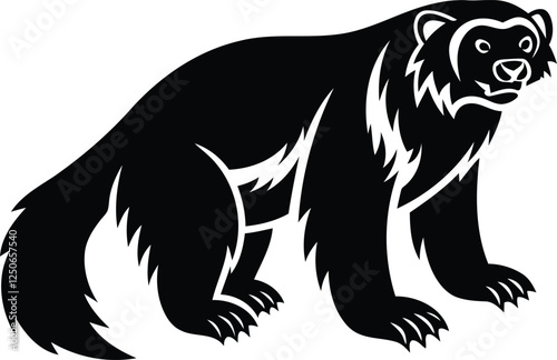 Premium quality North American wolverine isolated silhouette and line art vector design