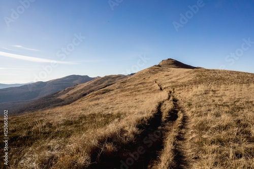 Fototapeta Naklejka Na Ścianę i Meble -  Scenic autumn landscapes from a trekking loop in Bieszczady, featuring views from Tarnica, Halicz, Rozsypaniec, Bukowe Berdo, Połonina Wetlińska, and the Ukrainian Bieszczady under a clear blue sky