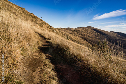 Fototapeta Naklejka Na Ścianę i Meble -  Scenic autumn landscapes from a trekking loop in Bieszczady, featuring views from Tarnica, Halicz, Rozsypaniec, Bukowe Berdo, Połonina Wetlińska, and the Ukrainian Bieszczady under a clear blue sky