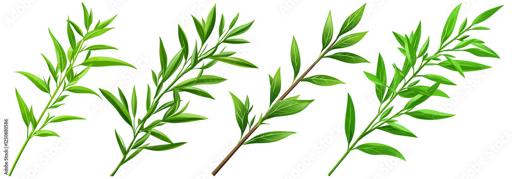 Obraz premium Green sprigs, leaves, branches, twigs, herb, plant, foliage