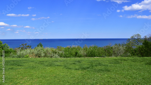 Fototapeta Naklejka Na Ścianę i Meble -  green meadow and blue sea. sunny summer day, seascape. A beautiful shot of green grass and blue water. hot weather. ship on the sea in the background. summer rest. travel, tourism, resort