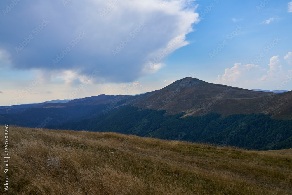 Fototapeta premium Somewhere in the Transylvanian Mountains, Romania