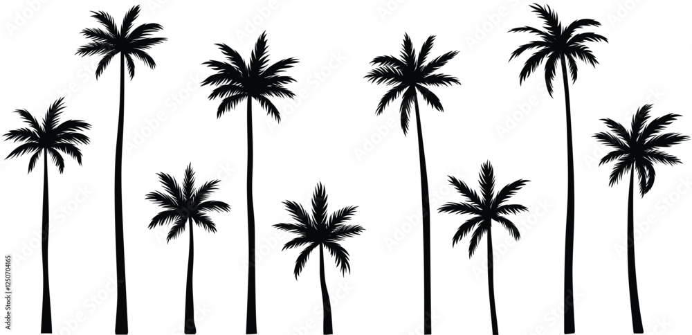 Black palm tree set vector illustration isolated on white background silhouette art black white stock illustration logo icon png. tropical, beach, landscape, pattern, paradise, coconut background Black palm tree set vector illustration isolated on white background silhouette art black white stock illustration logo icon png. tropical, beach, landscape, pattern, paradise, coconut background