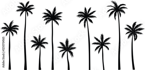 Black palm tree set vector illustration isolated on white background silhouette art black white stock illustration logo icon png. tropical, beach, landscape, pattern, paradise, coconut background