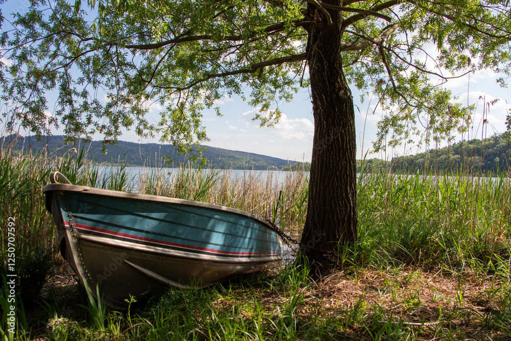 boat on the lake shore under the trees