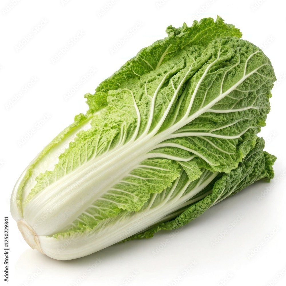 Green Fresh Napa Cabbage Isolated on a White Background Green Fresh Napa Cabbage Isolated on a White Background