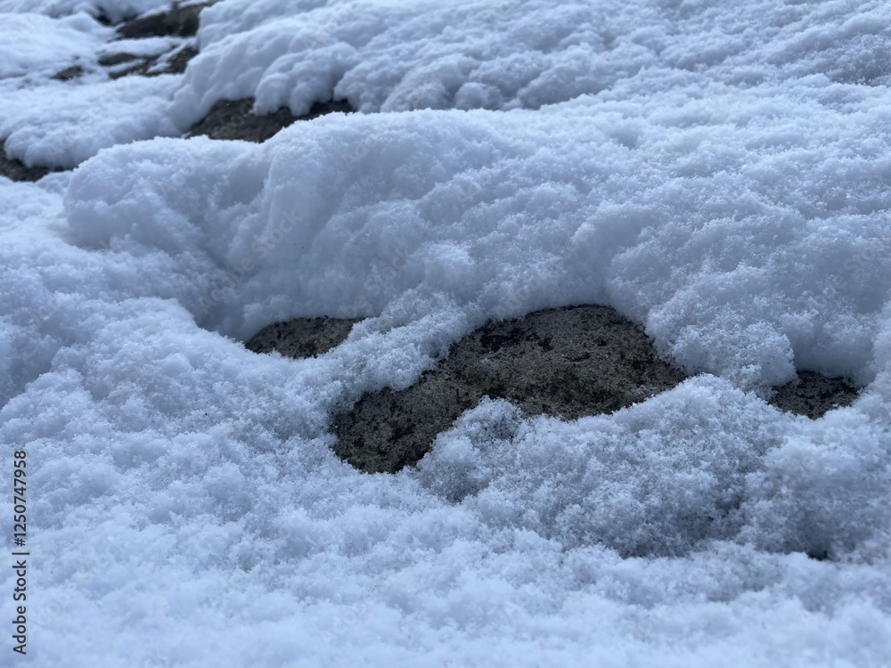 Snow Snow