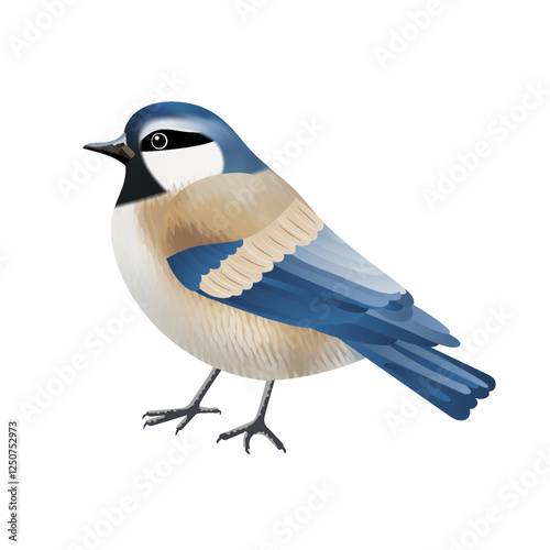 Cute blue bird isolated on white background