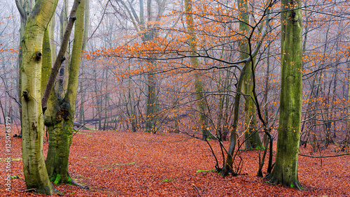Epping in Autumn