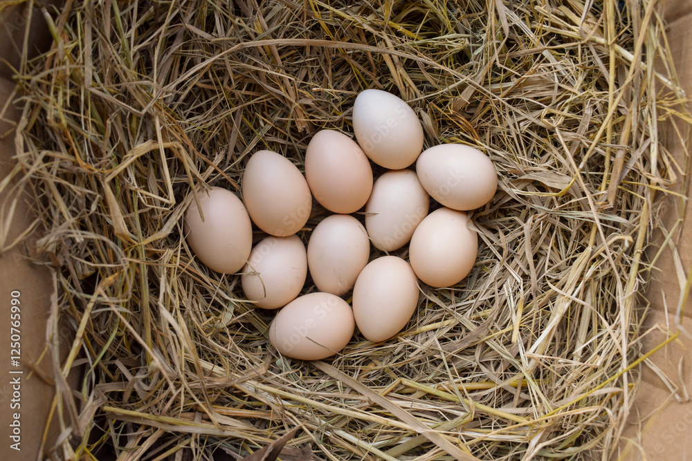 Several fresh white eggs in straw in a cardboard box. Organic chicken eggs. Easter concept. Several fresh white eggs in straw in a cardboard box. Organic chicken eggs. Easter concept.