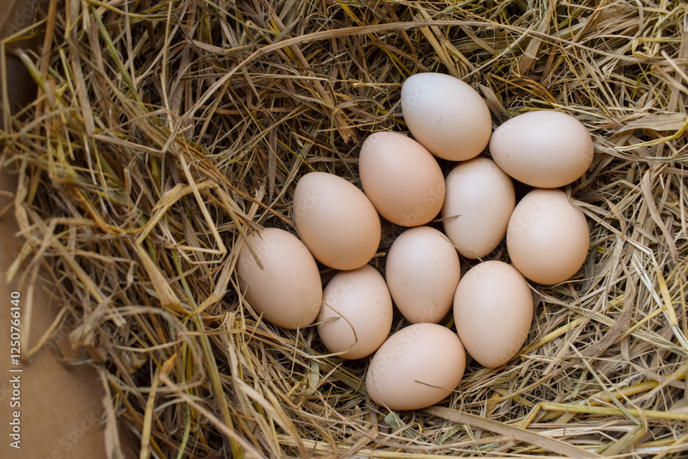 Several fresh white eggs in straw in a cardboard box. Organic chicken eggs. Easter concept. Several fresh white eggs in straw in a cardboard box. Organic chicken eggs. Easter concept.