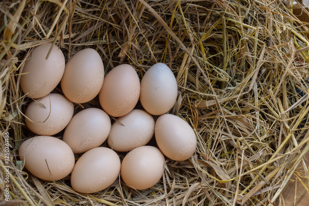 Several fresh white eggs in straw in a cardboard box. Organic chicken eggs. Easter concept. Several fresh white eggs in straw in a cardboard box. Organic chicken eggs. Easter concept.