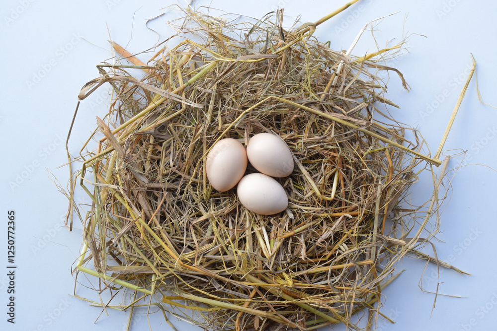 Straw nest containing white eggs, top view isolated on white background. suitable for Happy Easter Decoration, template for tag, gift greeting card, advertising promo shopping banner. Straw nest containing white eggs, top view isolated on white background. suitable for Happy Easter Decoration, template for tag, gift greeting card, advertising promo shopping banner.