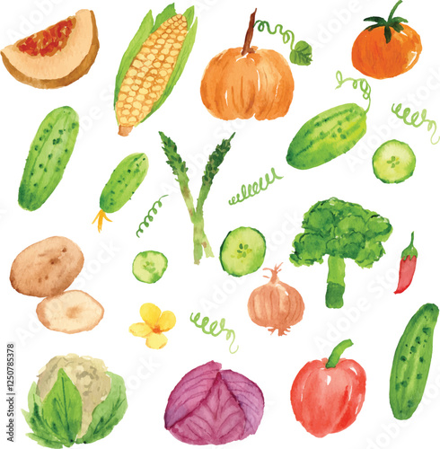 vegetables watercolor